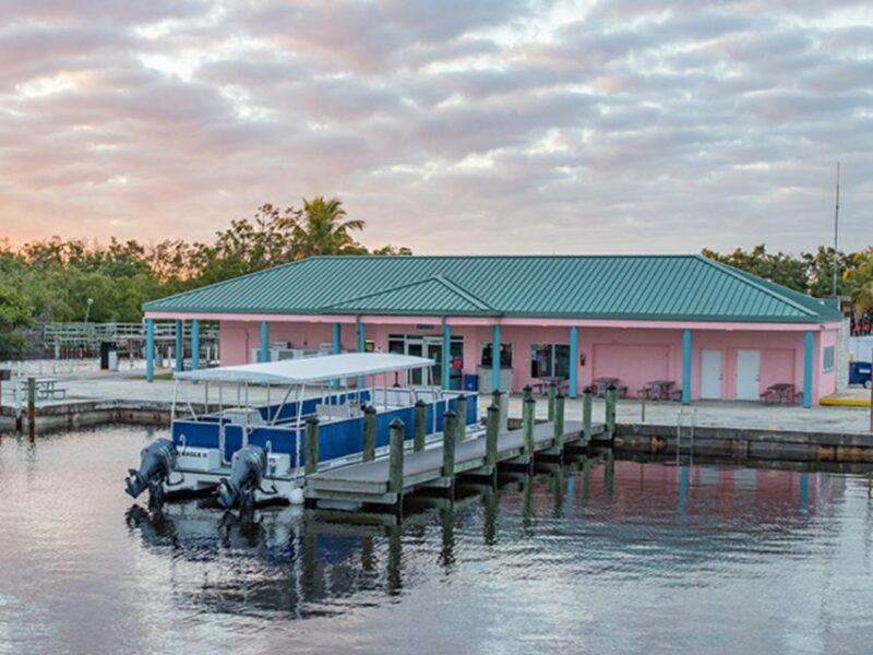 Flamingo Marina: Backcountry Boat Tour of the Everglades - Final thoughts: Is It Worth It?