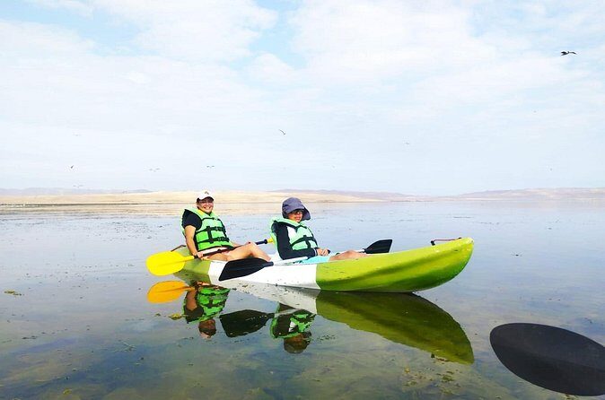 Flamingo Sighting in a Kayak - FAQ