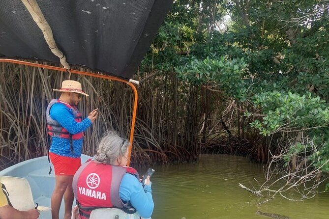 Flamingos Tour in Rio Lagartos Yucatan 2 hours - FAQ
