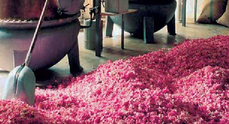 Flavor & Taste of Provence - Frequently Asked Questions (FAQs)