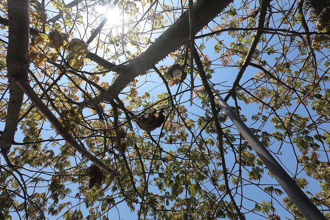 Flavors of Colombia - Cartagena Street Food Tour - FAQ