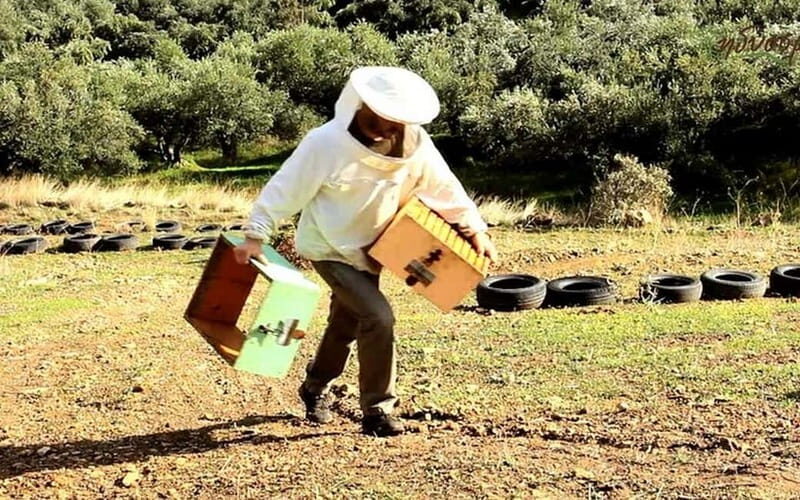 Flavors of Crete from Chania: Wine & Olive Oil Tasting Tour - Practical Details and Considerations
