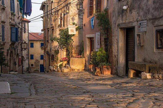 Flavours of Istria Tasting Experience from Koper - Final Thoughts