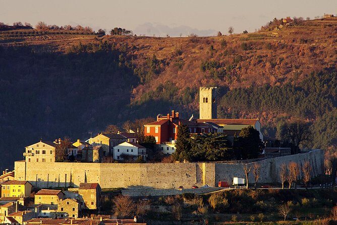 Flavours of Istria Tasting Experience from Rijeka - Who Should Take This Tour?