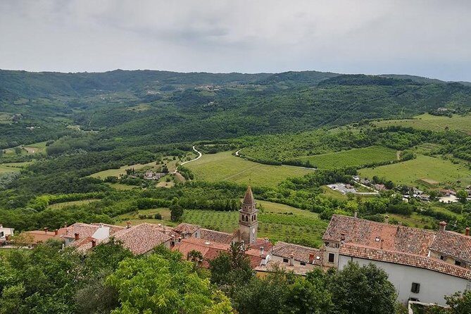 Flavours of Istria Tasting Experience from Rijeka - Frequently Asked Questions
