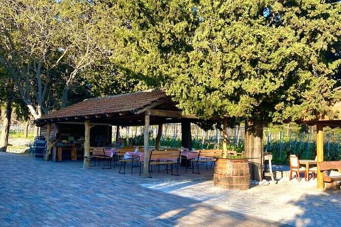 Flavours of Konavle: Wine, Food & Village Life Experience - Practicalities and What You Should Know