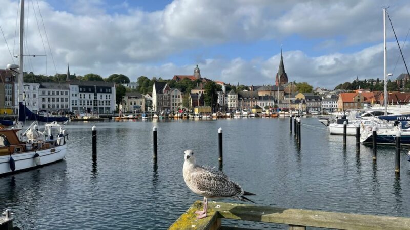 Flensburg: Running tour with insider tip guarantee - Who Will Love This Tour?