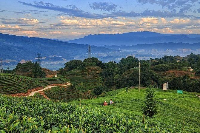 Flexible Hangzhou Private Day Tour with Lunch - FAQs