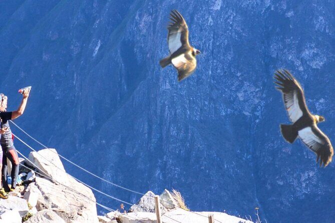 Flight of the condor - Who Should Consider This Tour?