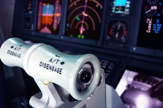 Flight Simulator Experience LONG RANGE 90 Minutes - What Makes This Flight Simulator Special?