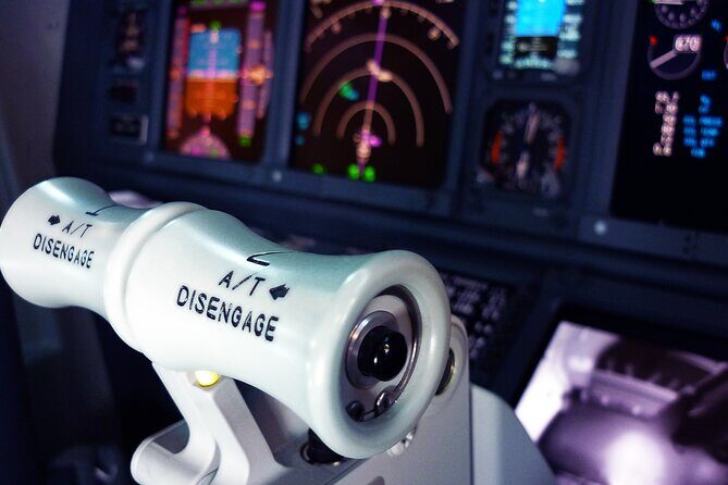 Flight Simulator HI SPEED for 30 Mins - Flying High in Turin: The 30-Minute Flight Simulator Adventure