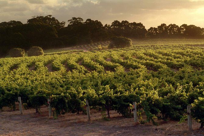 Flight to Leeuwin Winery for Lunch - Final Thoughts