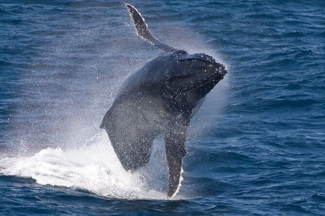 Flinders Chase Private Luxury Tour - FAQs