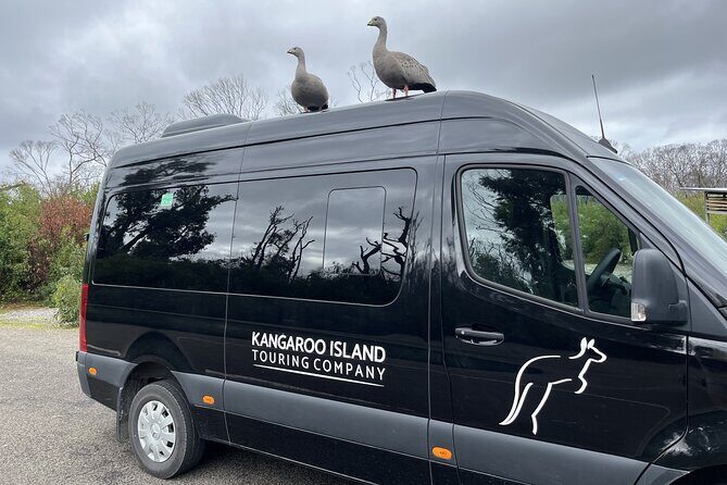 Flinders Chase Private Luxury Tour - Final Thoughts