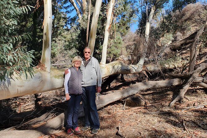 Flinders Ranges 5-Day Small Group 4WD Eco Tour from Adelaide - Daily Breakdown of the Itinerary