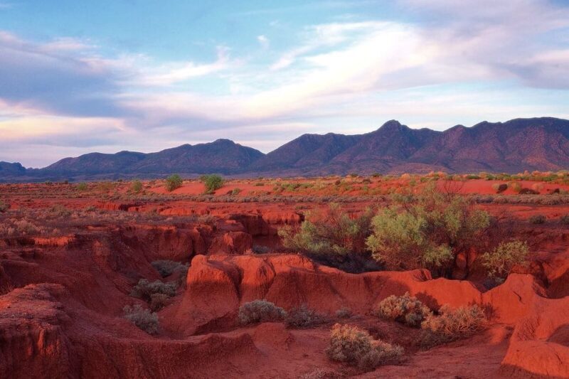 Flinders Ranges & Outback: 3-Day 4WD Tour from Adelaide - Authentic Experiences and Practical Details