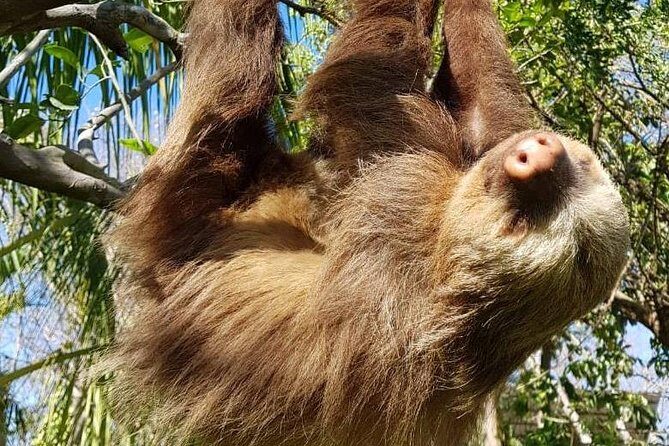 Floating, ATV and Zip Lining Combo Tour - FAQ