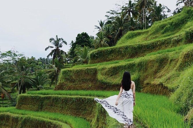 Floating Breakfast at Private jungle pool , Swing , Sunrise and Balinesse Spa - Key Points