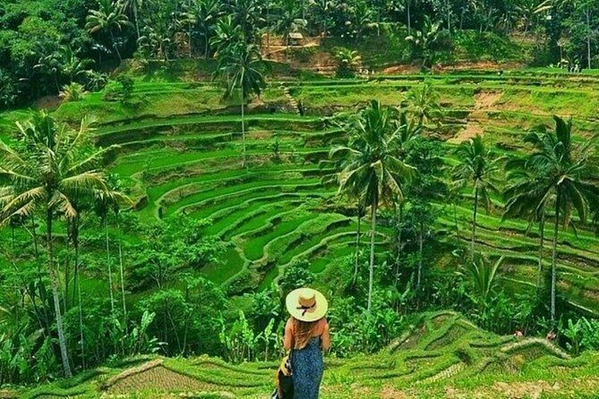 Floating Breakfast at Private jungle pool , Swing , Sunrise and Balinesse Spa - A Detailed Look at the Experience