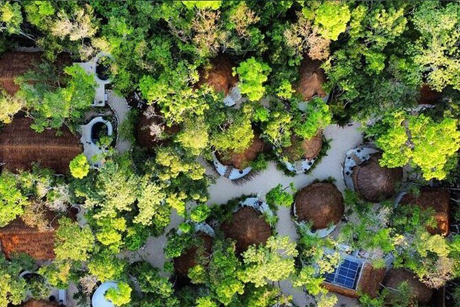 Floating breakfast in The Yellow Nest (near Dos Ojos cenote) - FAQ
