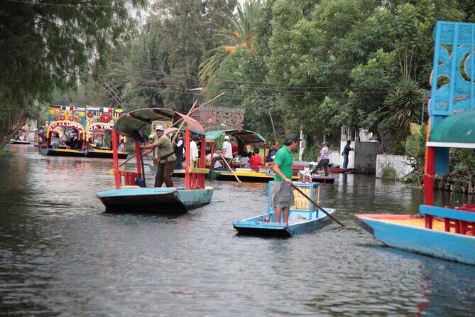 Floating Flower Gardens Of Xochimilco with a Local: Private & Personalized - The Sum Up: The Best of Xochimilco with a Local Guide