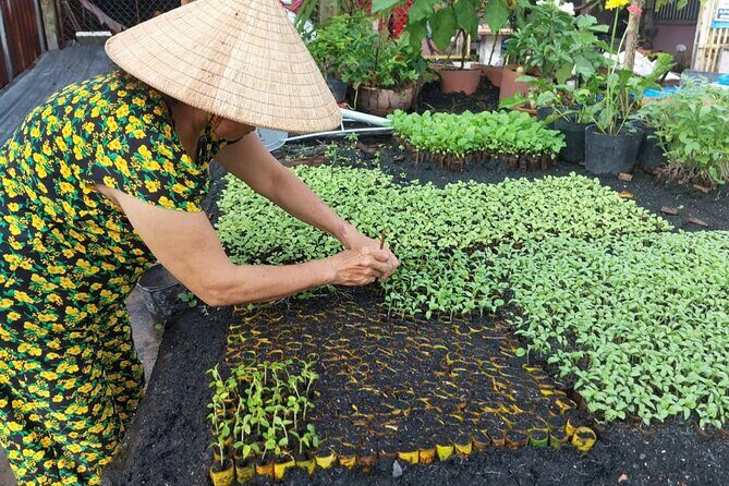 Floating Market, Cacao Farm and Mekong' Tour from Can Tho - Who Should Consider This Tour?