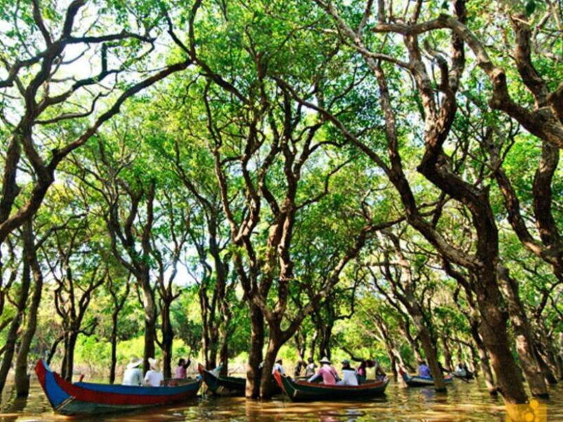 Floating Village-Mangroves Forest Tonle Sap Lake Boat Tour - Who Should Consider This Tour?