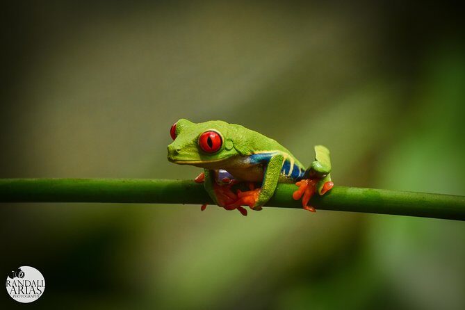 Flora & Fauna Garden at Danaus EcoCenter - Final Thoughts