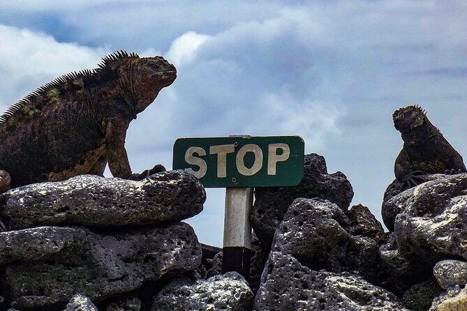 Floreana Island Full Day Tour Including Hiking and Snorkeling - Exploring Floreana Island: A Full-Day Adventure of Nature and History