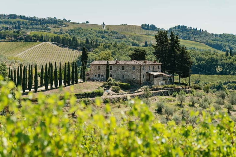 Florence: Chianti Wineries Tour with Wine Tasting - Key Points