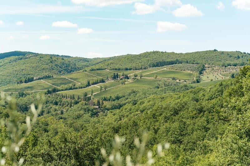 Florence: Chianti Wineries Tour with Wine Tasting - Practical Details and Tips