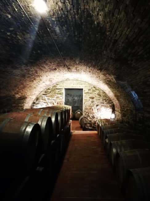 Florence like a local wine teasting - Who Will Love This Experience?
