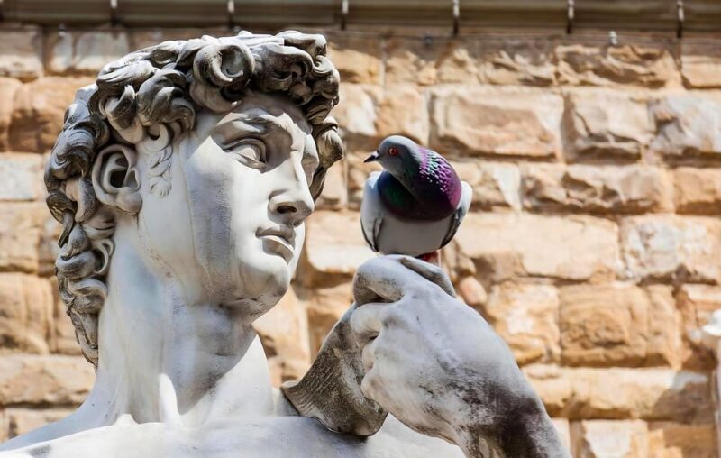 Florence: Piazza della Signoria & David - Anti Walking Tour - What to Expect from the Florence Piazza della Signoria & David Tour