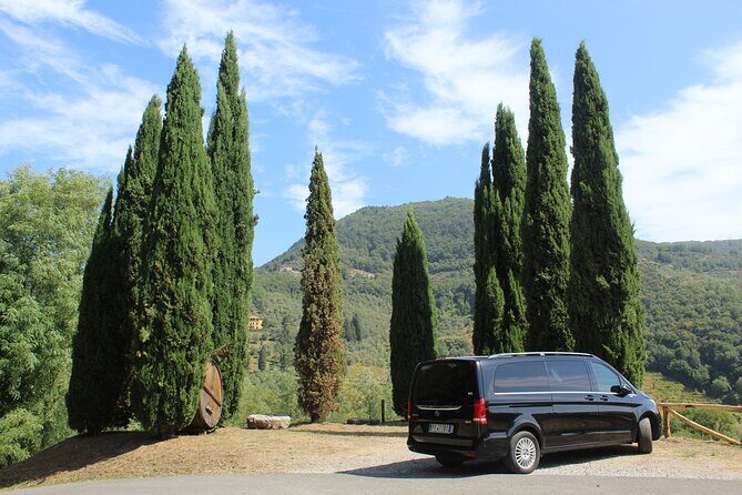 Florence & Pisa Tour by van from Lucca or Livorno port - Exploring the Tuscany Highlights by Van