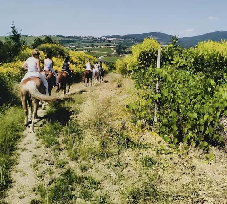 Florence: Tuscan Countryside Horseback Ride - The Itinerary in Detail