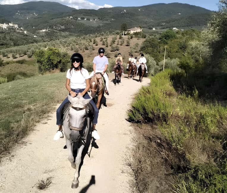 Florence: Tuscan Countryside Horseback Ride - The Horses and Guides