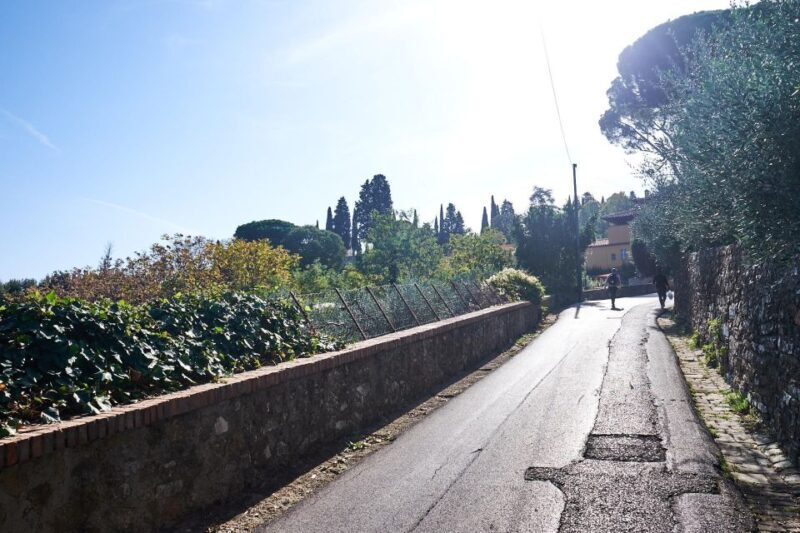 Florence: Tuscan Hills E-Bike Tour with Olive Oil Tasting - A Detailed Breakdown of the Tour
