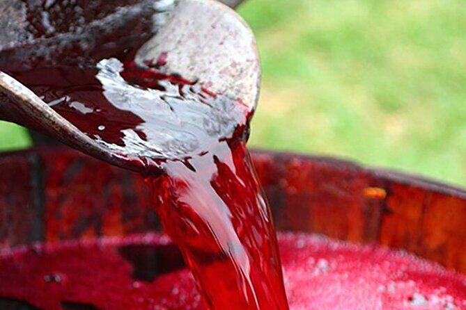 Florence: Wine Making Private Experience In a Vineyard in Tuscany - An In-Depth Look at the Tuscany Wine Making Experience
