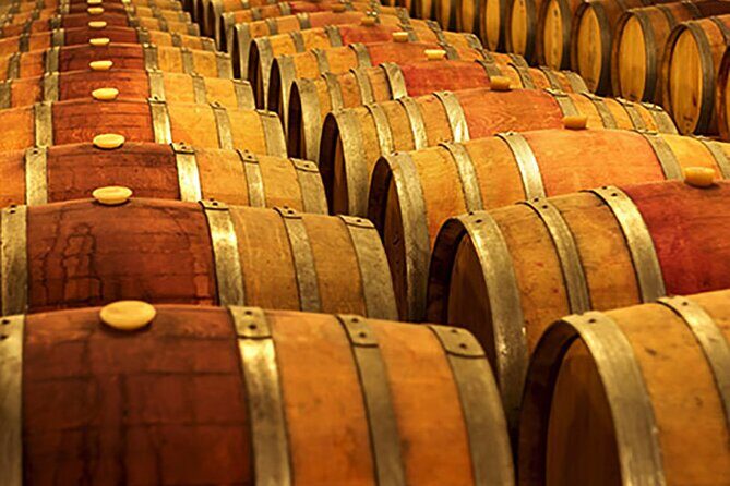 Florence: Wine Making Private Experience In a Vineyard in Tuscany - Is This Tour Worth the Price?