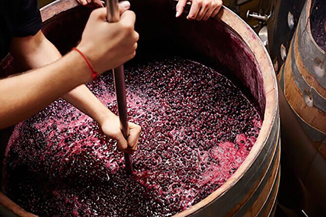 Florence: Wine Making Private Experience In a Vineyard in Tuscany - The Sum Up