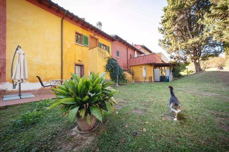 Florence: Wine Tasting at a Vineyard With a Local Winemaker - Florence: Wine Tasting at a Vineyard With a Local Winemaker — A Genuine Taste of Tuscany