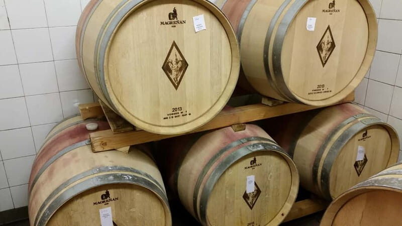 Florence: Wine Tasting at a Vineyard With a Local Winemaker - Exploring the Vineyard