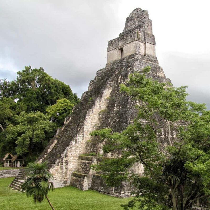 Flores: 1-Day Tikal Tour Private Service From your Hotel - Why Choose This Tour?