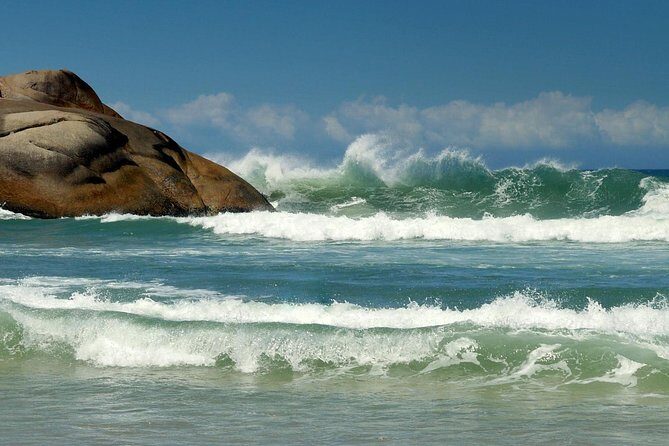 Florianópolis City Tour from Balneário Camboriú - Discovering Florianópolis: What to Expect