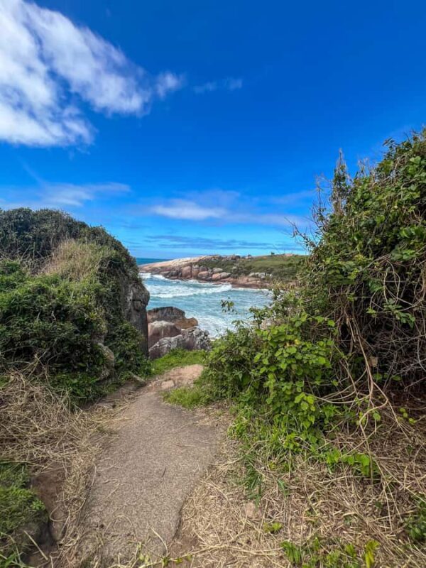 Florianopolis: Gravata Beach Trail with Picnic - Key Points