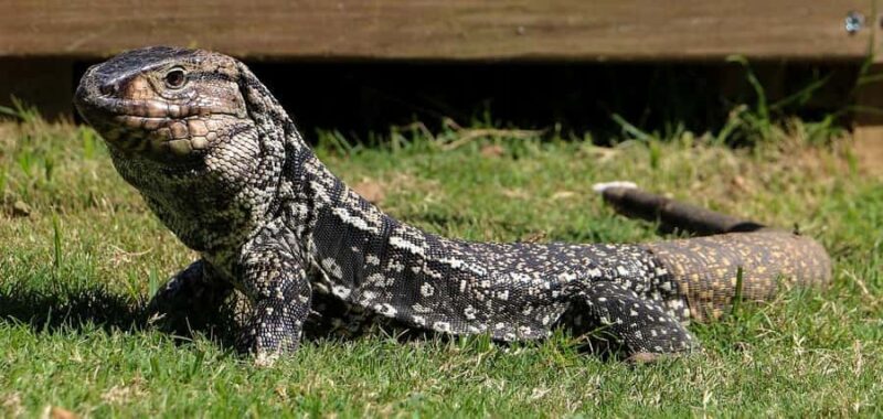 Florianopolis: Gravata Beach Trail with Picnic - Final Thoughts: Is It Worth It?