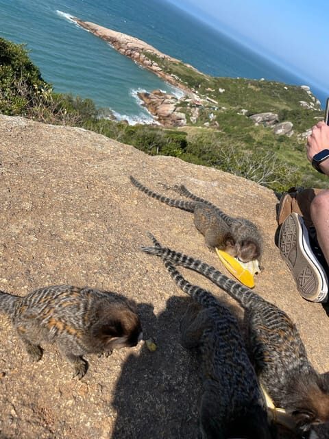 Florianopolis: Gravata Beach Trail with Picnic - FAQ: Your Practical Questions Answered