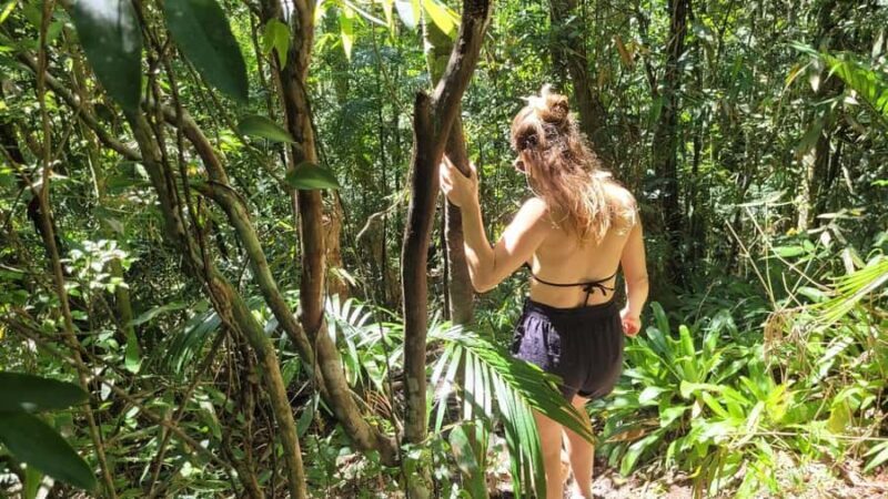 Florianopolis: Lagoinha do Leste Natural Park Hike - Final Thoughts