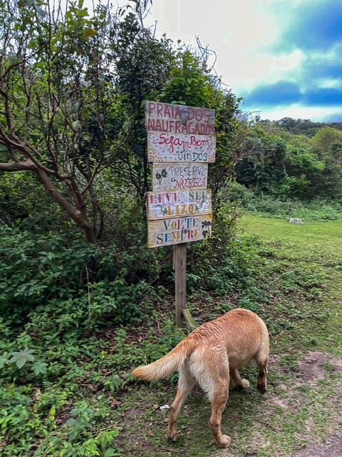 Florianópolis: South Naufragados Trail - FAQ