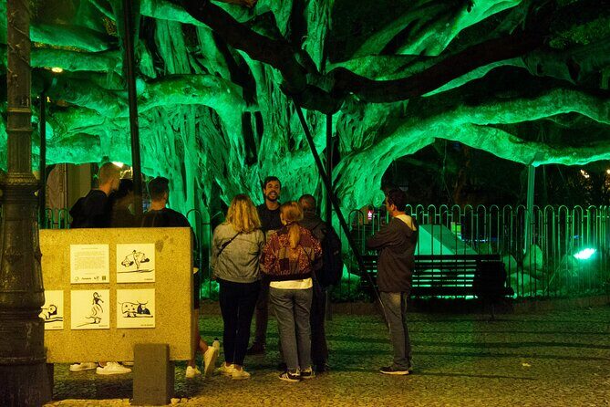 Florianopolis Walking Tour - History, Art and Gastronomy - Who Should Consider This Tour?